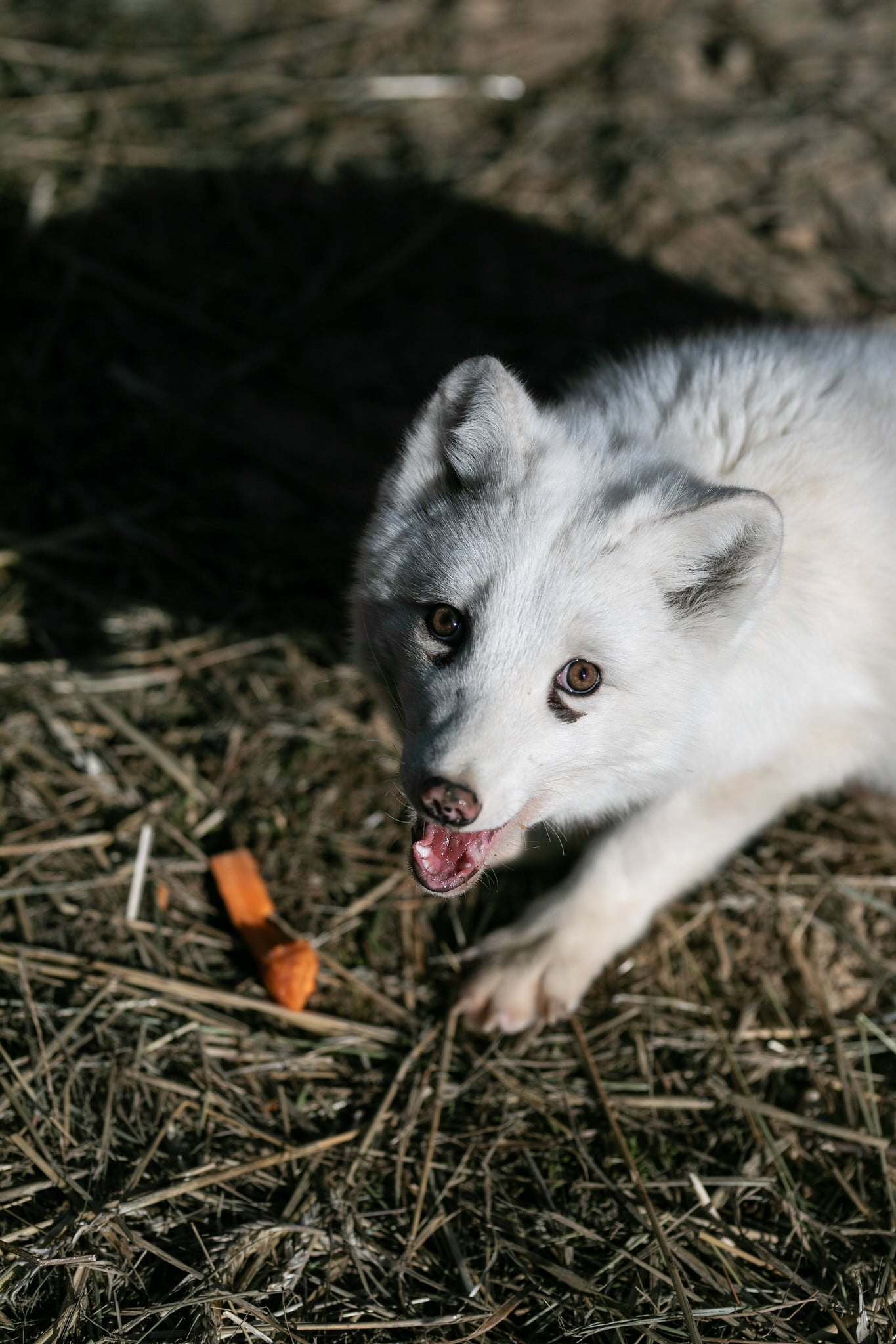 Przykładowe pytania i odpowiedzi